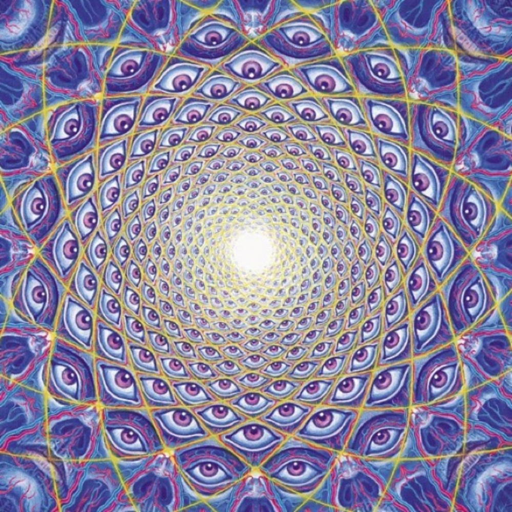 Meet your Posher, Timothy